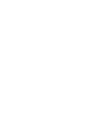 Transparent Logo of Stateline Chiropractic Center